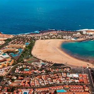 https://premium-duplex-castillo-mar-32.in-canary-islands.com